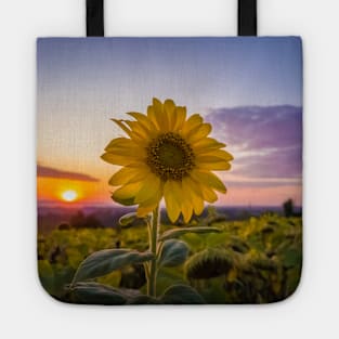 Sunflower against sunset Tote