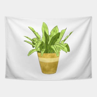 Bird&#39;s Nest Fern Tapestry