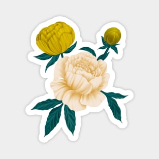 Yellow and Cream Peonies Magnet