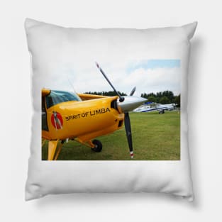 LE PANASONIC FZ 200 PAR OKAIO CRÉATION Pillow