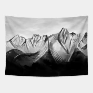 Black Snow Valley Mountain Tapestry