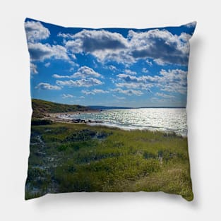 Cedar tree neck sanctuary,Martha’s Vineyard Pillow