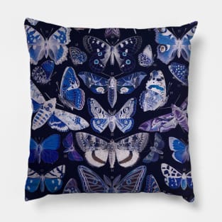 Old Butterfly Illustration Pillow