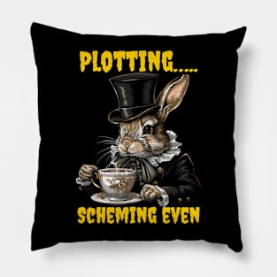 Plotting…..scheming even Pillow