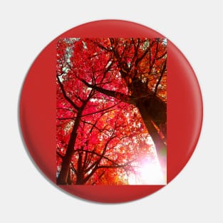 Autumn Trees Pin