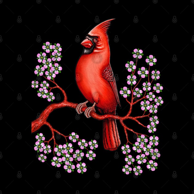 Red Cardinal bird dogwood flower North Carolina Virginia by Artardishop