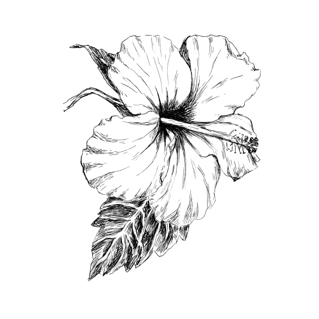 Hibiscus flower by rachelsfinelines