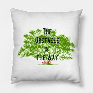 Marcus Aurelius Stoic Quote Pillow