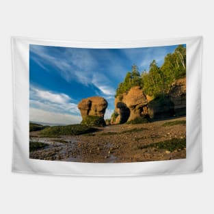 Hopewell Rocks Tapestry