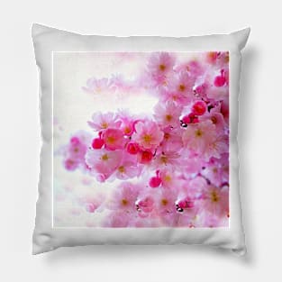 Cherry Blossoms So Pink Pillow