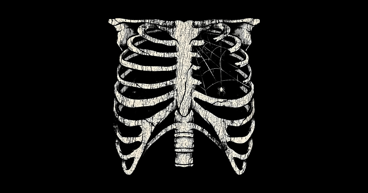 Skeleton Rib Cage Spider Scary Goth Halloween Gothic - Skeleton Rib ...