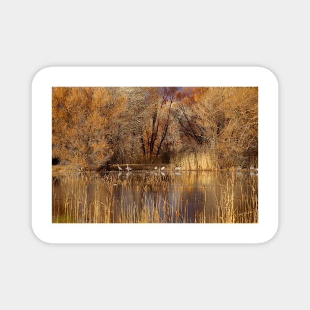 Autumn Relections Magnet by VKPelham