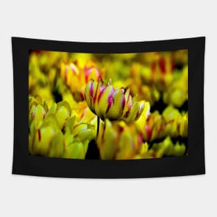 tulips Tapestry