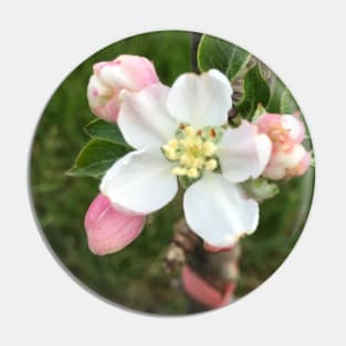 Apple Blossom Pin