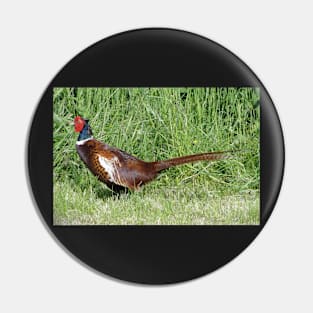 The Pleasant Pheasant Pin