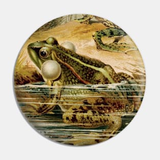 Cottagecore Aesthetic Green Frogs Pin