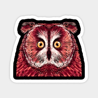 Owl Magnet