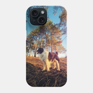 in the pine forest Phone Case