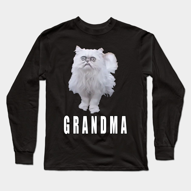 This Stray Cat Looks Like Grandma Meme Cat Long Sleeve T