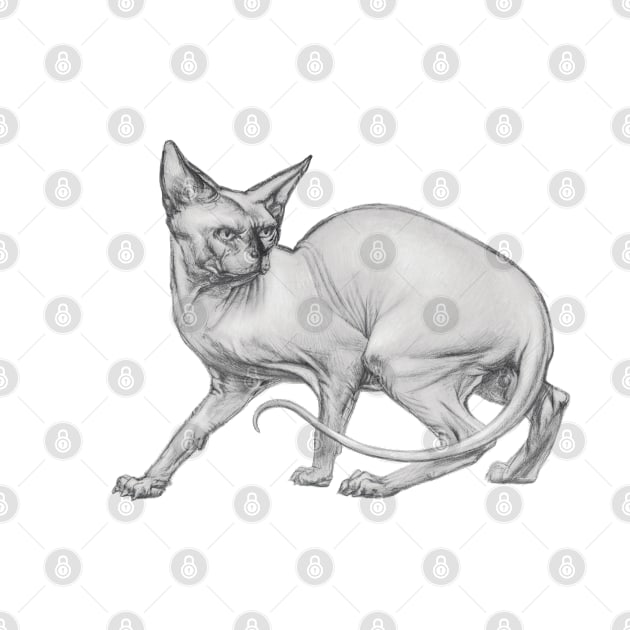 Realistic Sphinx Cat Graphite Drawing - Black and White Art by Vlad