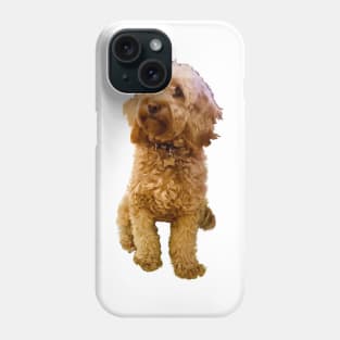 Cavapoo Cavoodle puppy in green - cute cavalier king charles spaniel Phone Case