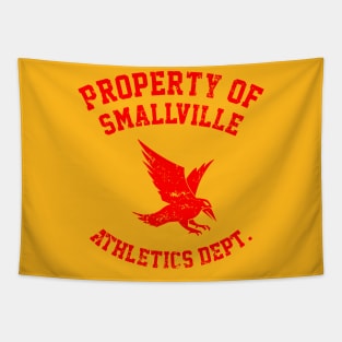 Property of Smallville Tapestry