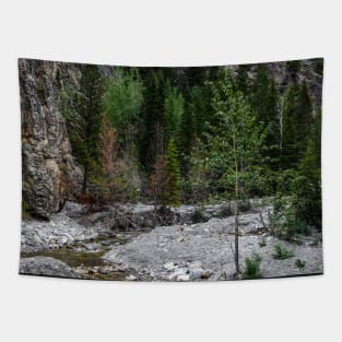 Mountain hike. Tapestry