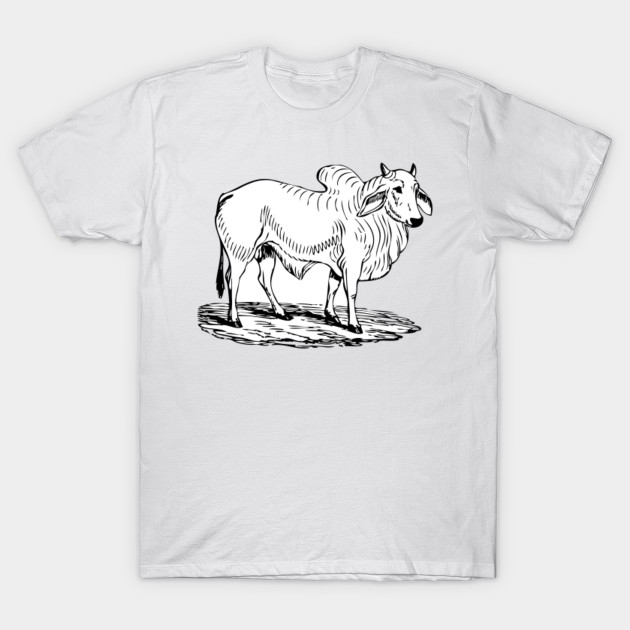 brahma bull shirt