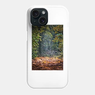 Light in the forest Phone Case