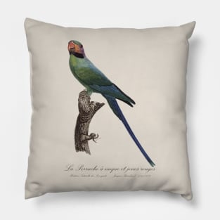 La Perruche a Nuque et Joues Rouges Parakeet - Jacques Barraband 19th century Illustration Pillow