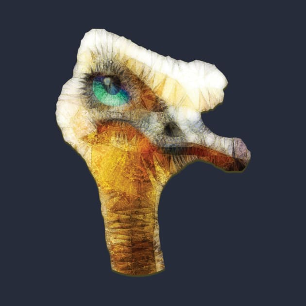 Funny Ostrich by Ancello