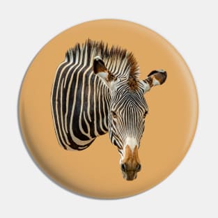 Zebra looking at you Pin