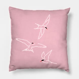 The Royal Tern Symphony Pillow