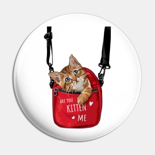 Are You Kitten ME ? Pin