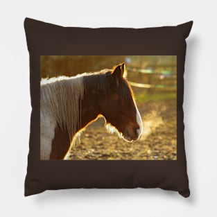 sunset horse Pillow