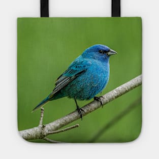 Indigo Bunting Tote