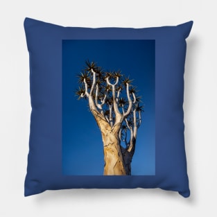 Aloe tree. Pillow