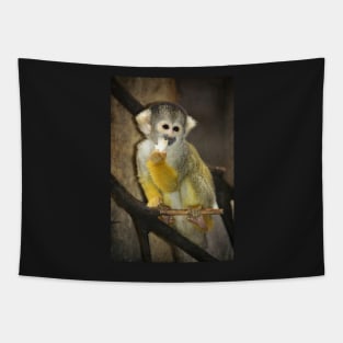 Squirrel Monkey Portrait Tapestry