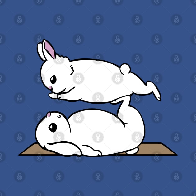 Acroyoga Bunnies by huebucket