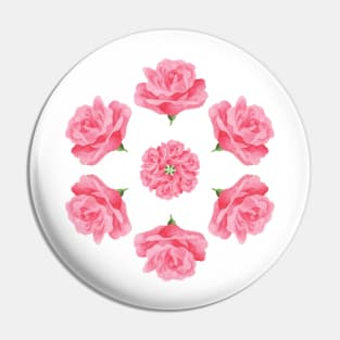 Rose reflections Pin