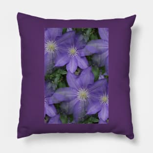 Clematis vine Pillow