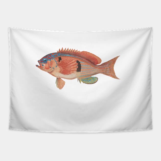 Sea perch, by Frank Edward Clarke Tapestry by honeythief