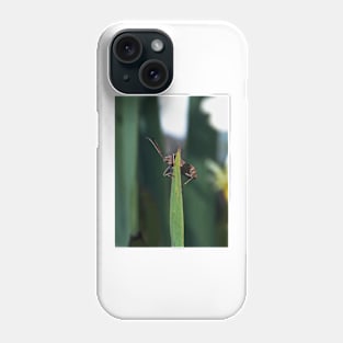 THE PANASONIC FZ 200 PAR OKAIO CREATION Phone Case