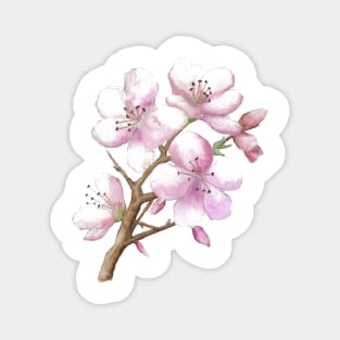 Japanese cherry blossom Magnet