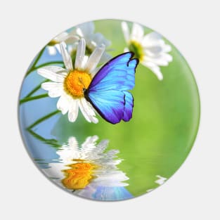 Blue Morpho Butterly and Daisies Pin