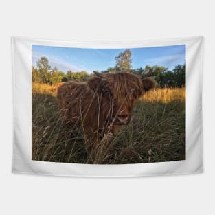 Scottish Highland Cattle Calf 2067 Tapestry