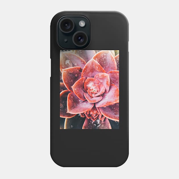 Water Drops on Red Succulent Plant Phone Case by visualspectrum