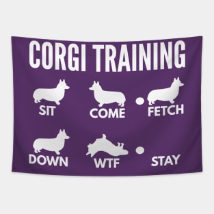 Corgi Training Corgi Dog Tricks Tapestry