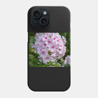 Beautiful White And Pink Centred Phlox Paniculata Flower Phone Case