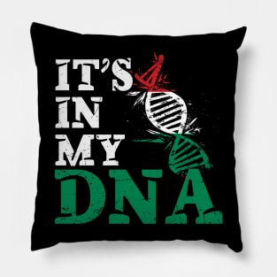 It's in my DNA - Hungary Pillow